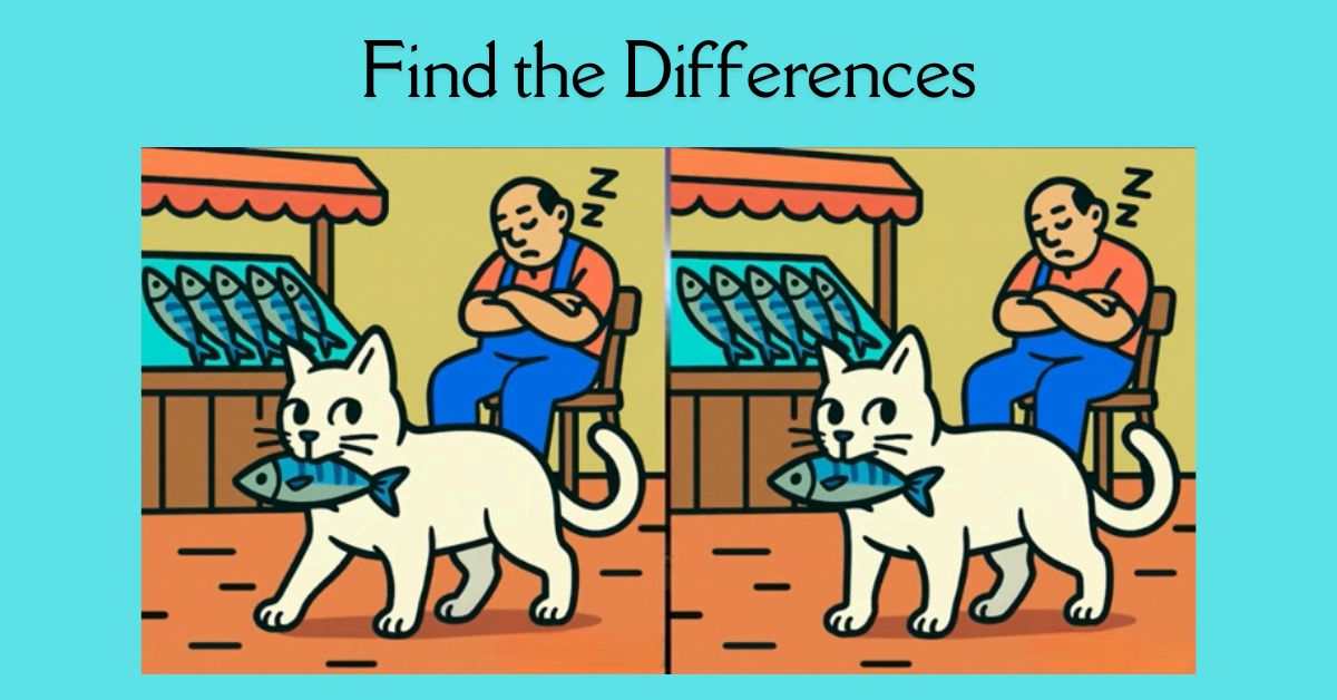 Spot the 3 Differences in Cat Stealing a Fish Beat the 35-Second Challenge!