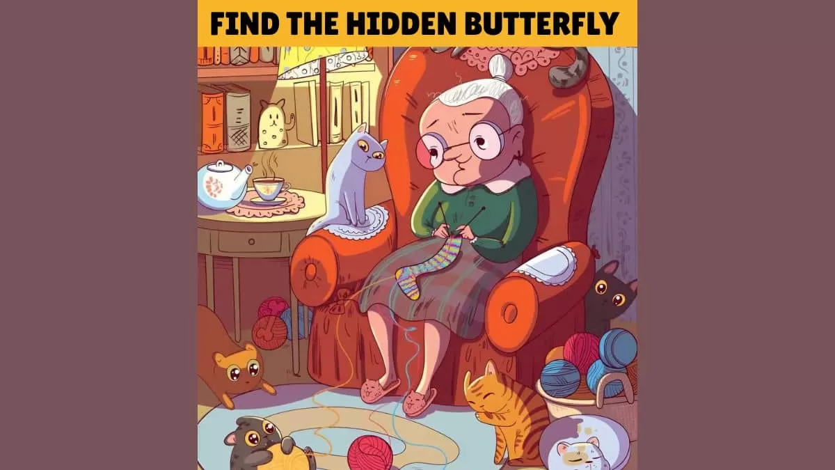 Find the hidden butterfly