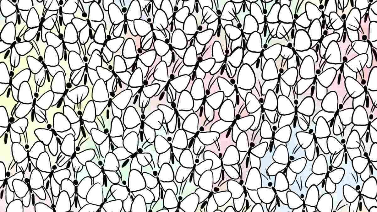Picture Puzzle IQ Test: Can You Spot The Ant Hidden Among Butterflies In 5 Seconds?