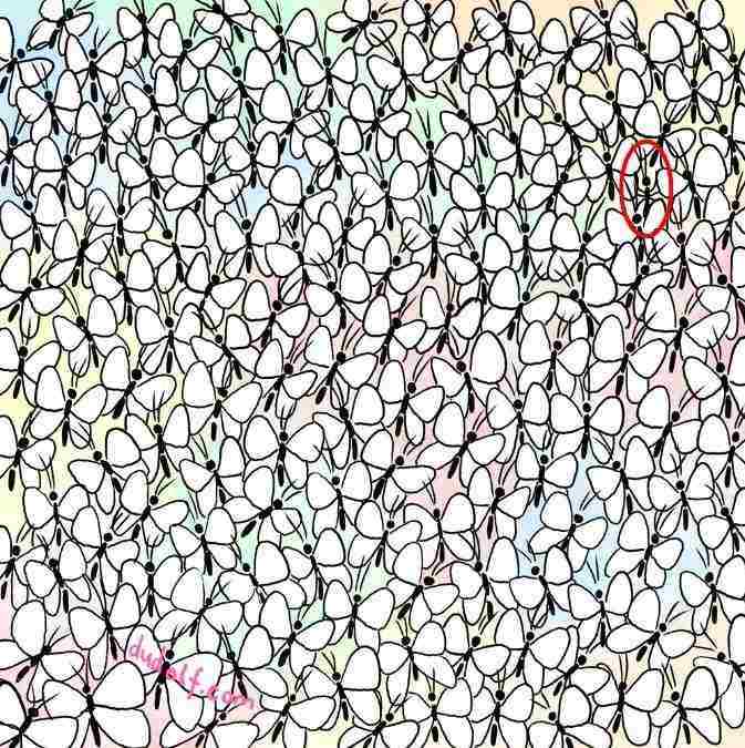 hidden picture puzzles with answers