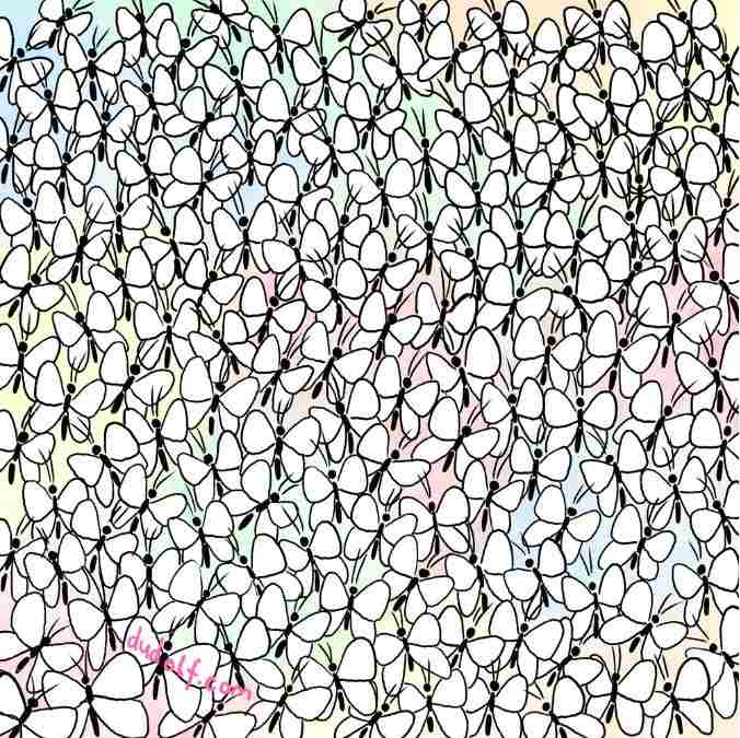 hidden picture puzzles with answers