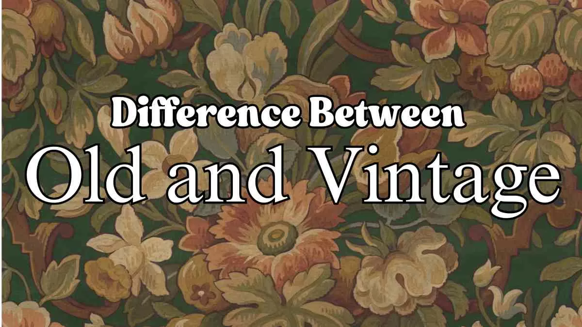 Difference Between Old and Vintage