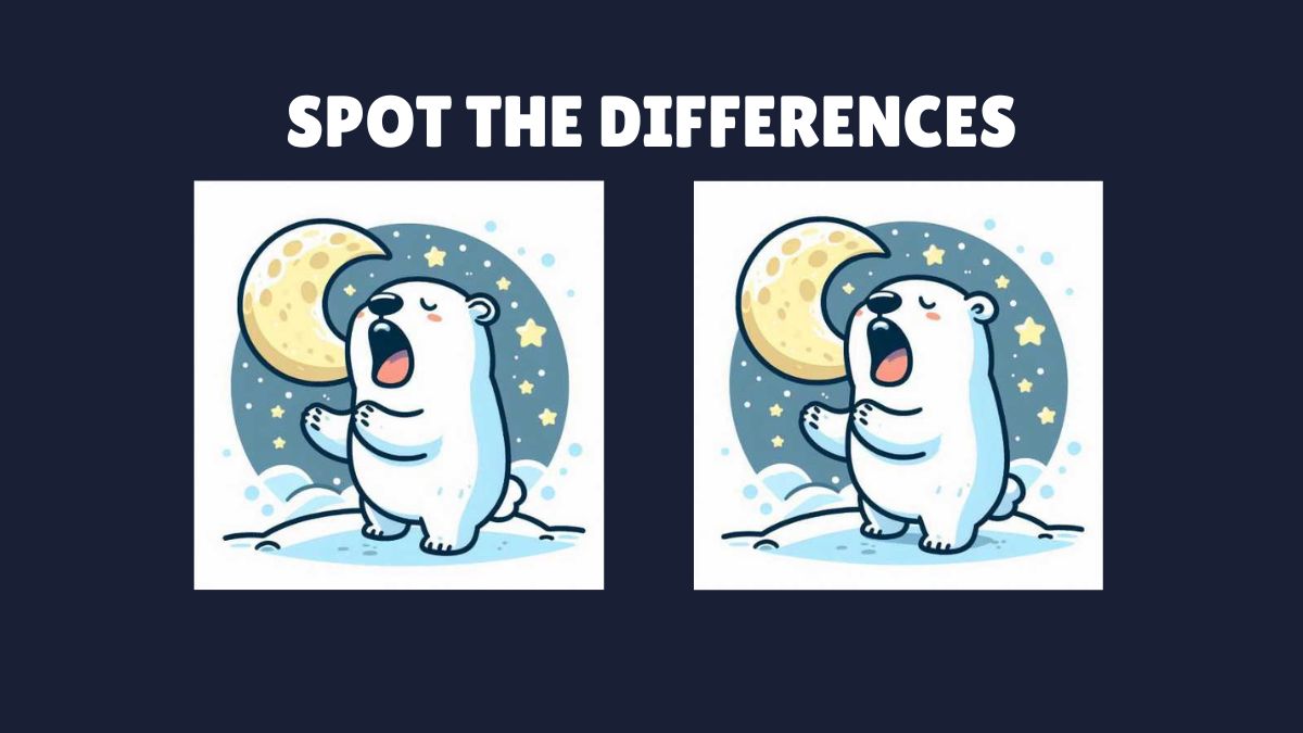 Spot 3 differences in the yawning bear pictures in 31 seconds!