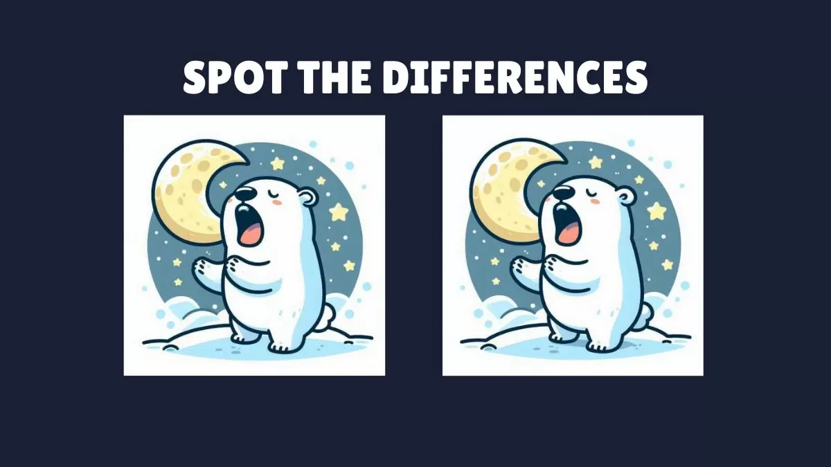 Spot 3 differences in the yawning bear pictures