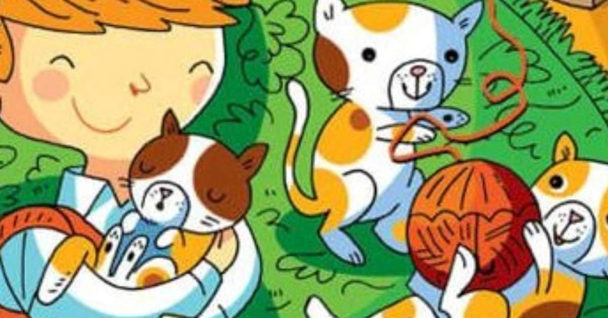 Can You Call Yourself a True Cat Lover If You Can’t Find the Hidden Boot in This Clever Optical Illusion IQ Test?