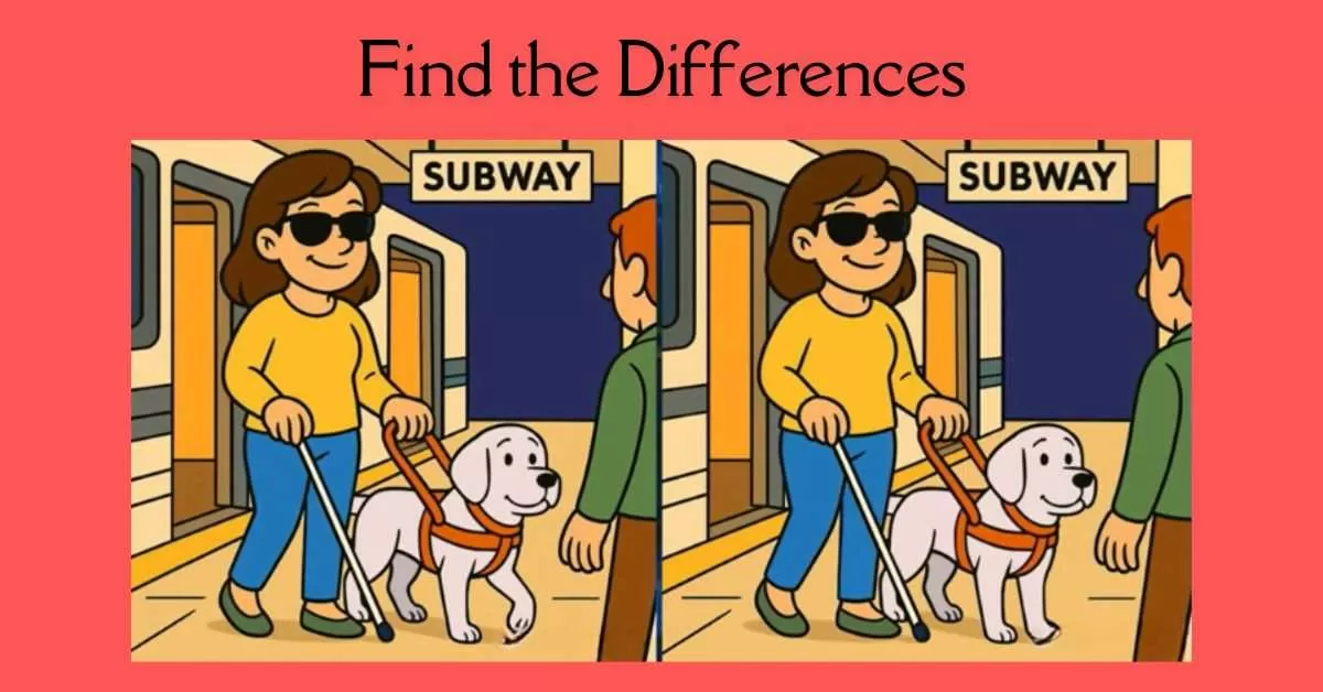 Spot the 3 Differences in Lady Walking With Her Service Dog 