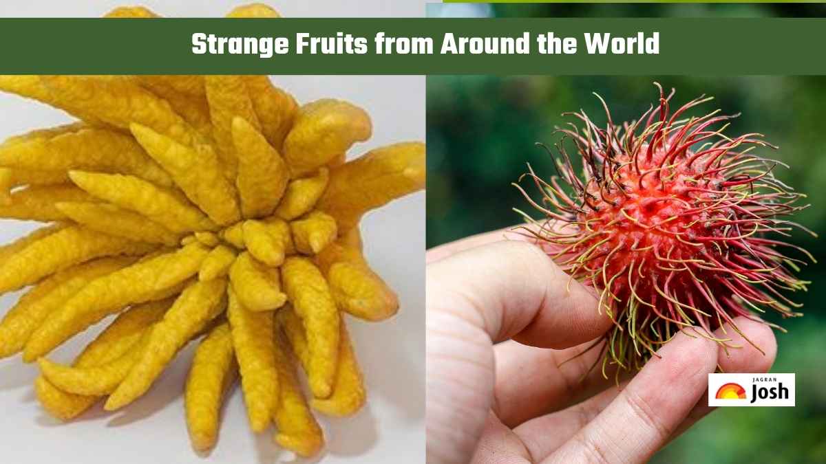 10 Strange Fruits from Around the World