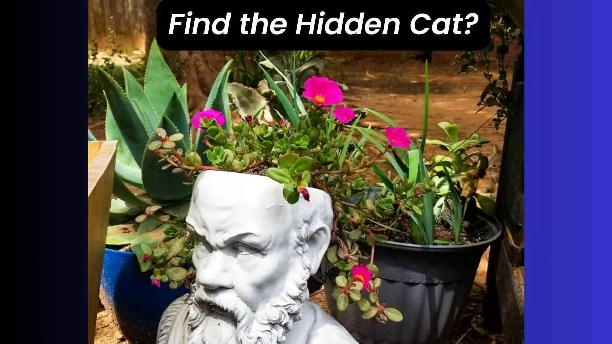 If You Have 20/20 Eye Vision, Spot The Hidden Cat In Just 9 Seconds!