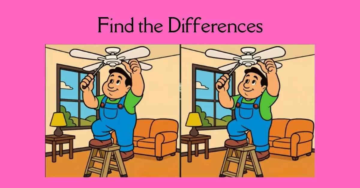 Spot the 3 Differences in Man Repairing a Fan 