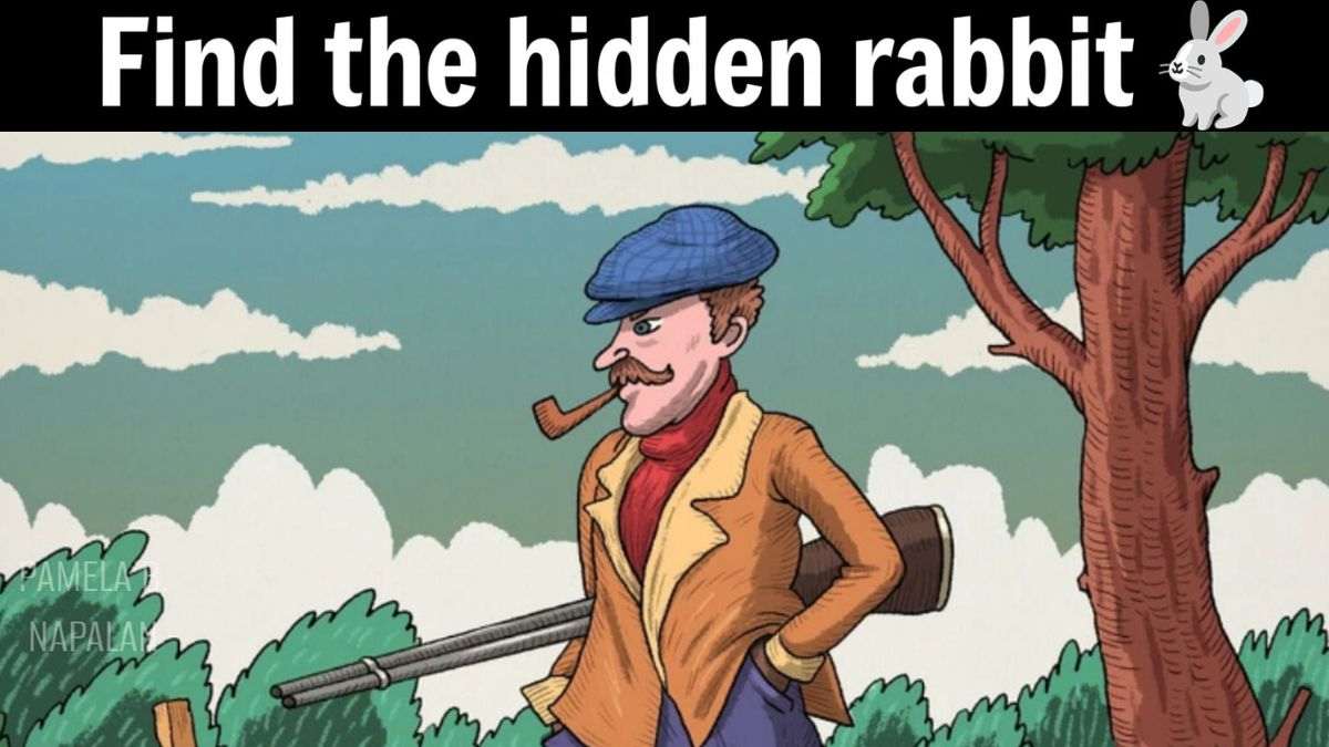 Optical Illusion IQ Test: Can You Spot the Hidden Rabbit Before the Hunter Does? You have 5 seconds!