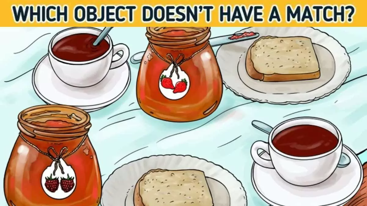 Spot the object without a match.