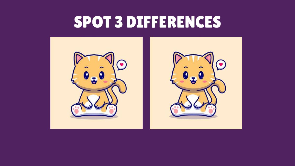 Spot 3 differences in the cute kitten pictures in 15 seconds!