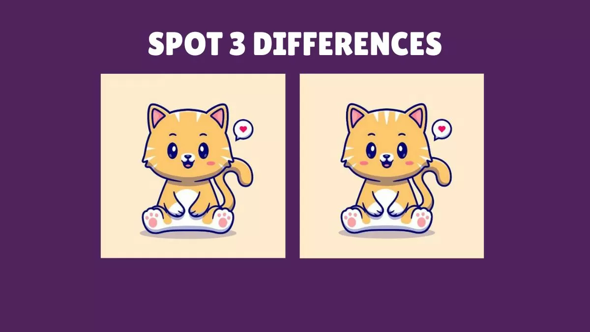 Spot 3 differences in 15 seconds