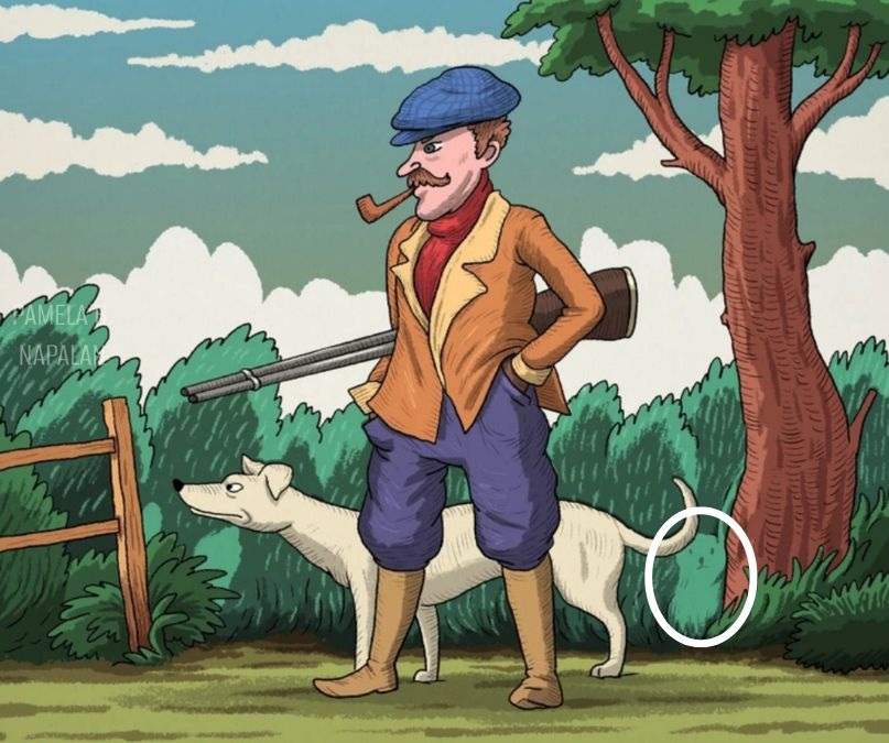 hidden optical illusions with answers