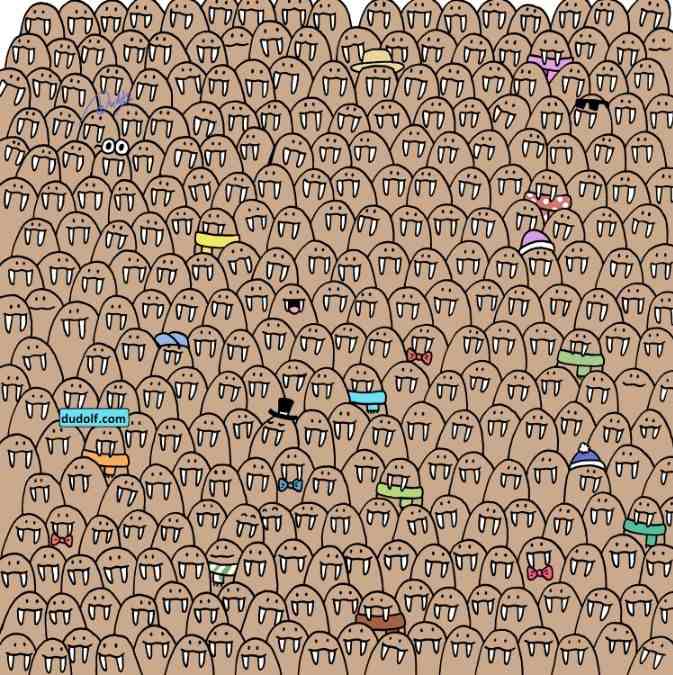 hidden picture puzzles with answers