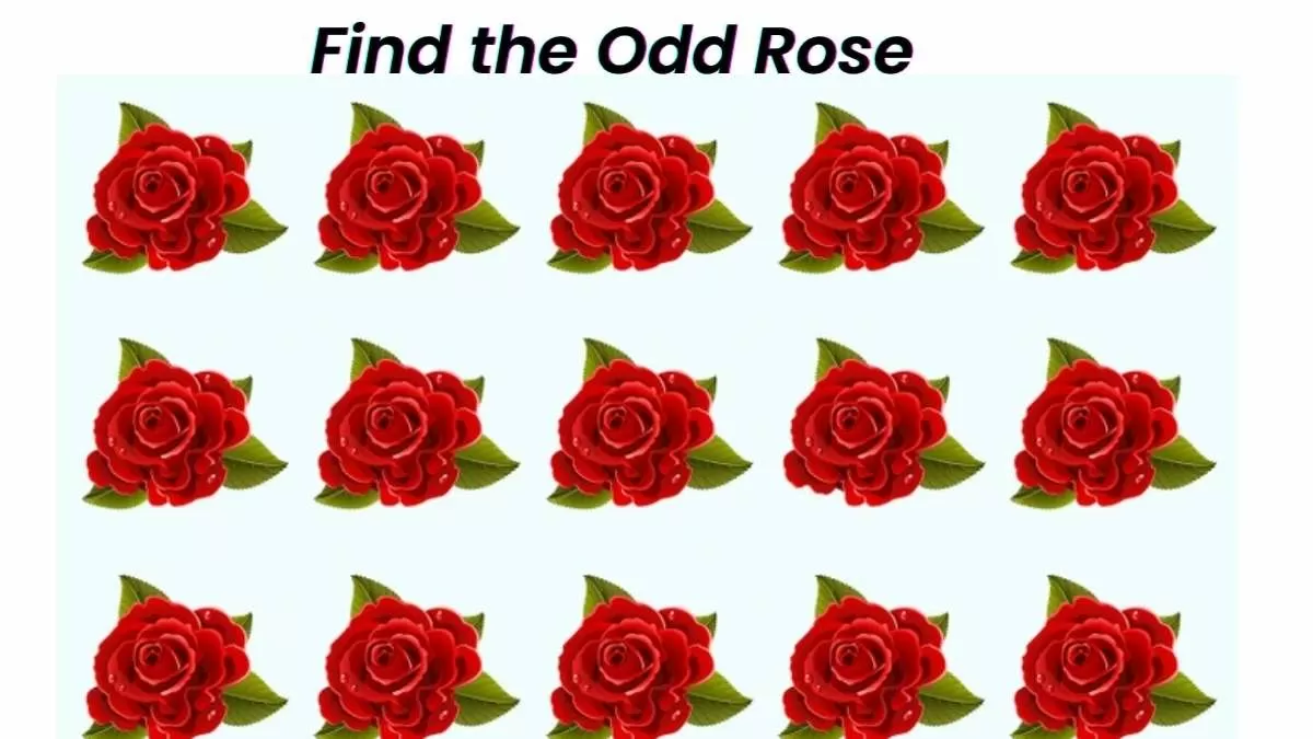 Find Out The Odd Rose: Only 1% Can Solve This Brain Teaser In Just 7 Seconds!