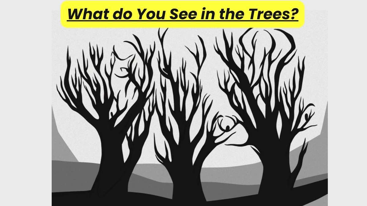 Optical Illusion Test: If You Think You Have Eagle Vision, Then Find The Hidden Elements Among The Trees!