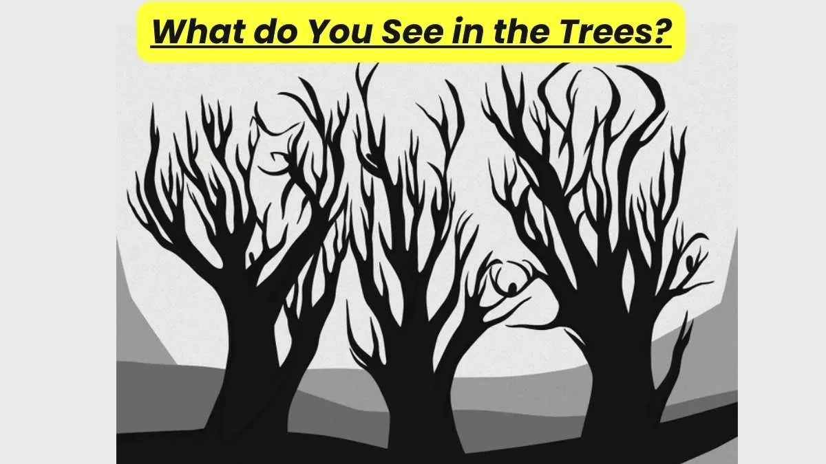 Optical Illusion Test: If You Think You Have Eagle Vision, Then Find The Hidden Elements Among The Trees!