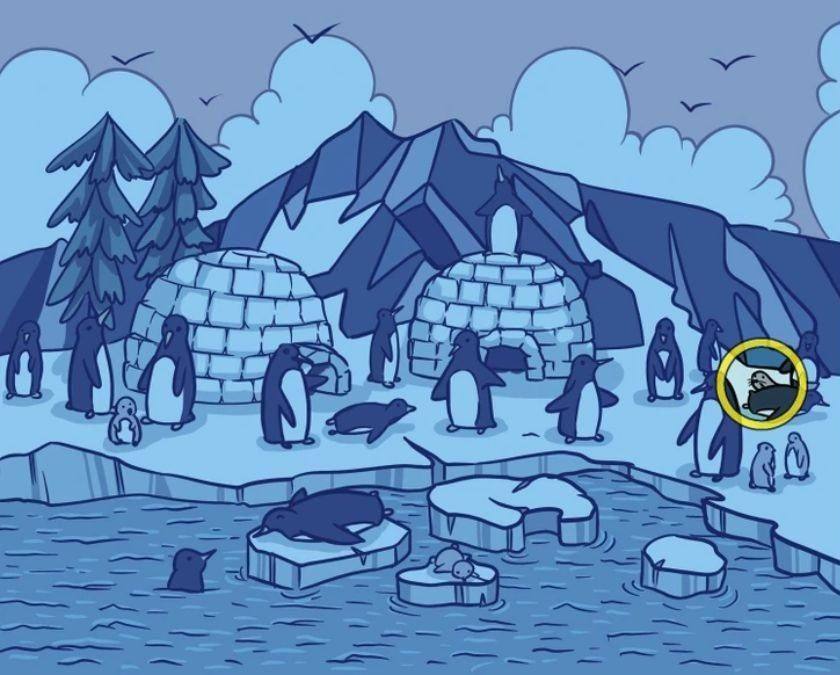 hidden optical illusions with answers