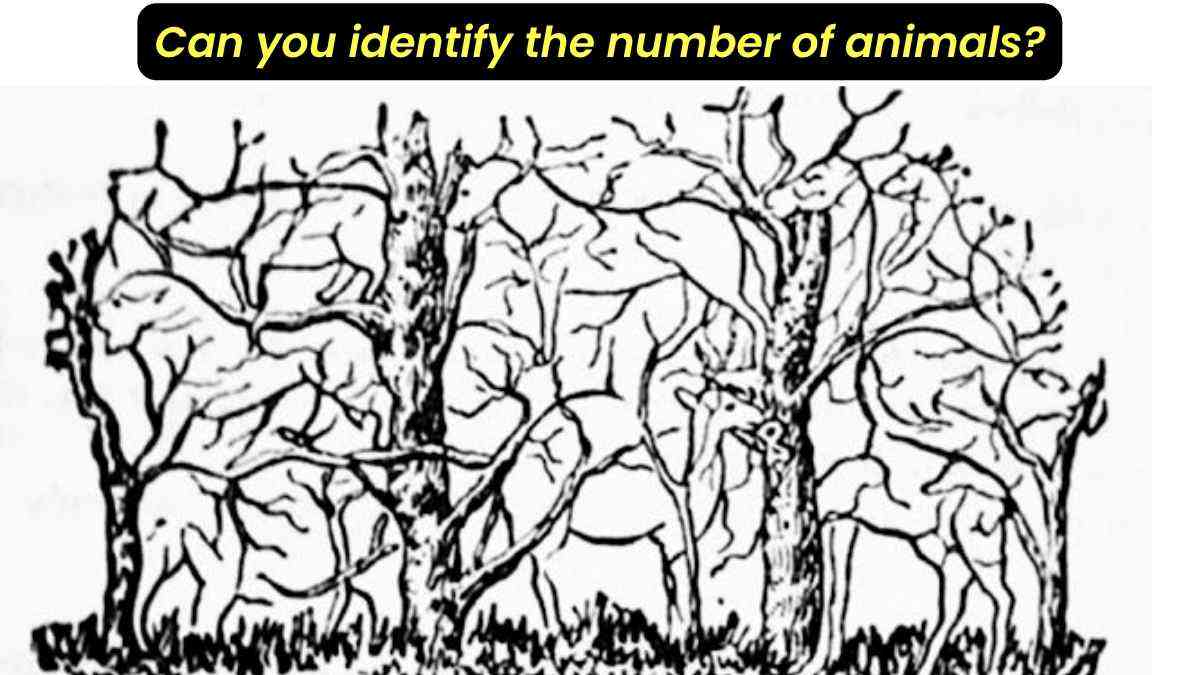 Optical Illusion IQ Test: Can You Identify The Number Of Animals In These Trees In Just 13 Seconds!