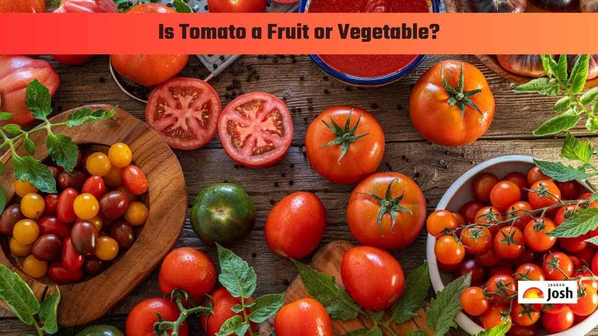 Is Tomato a Fruit or Vegetable?