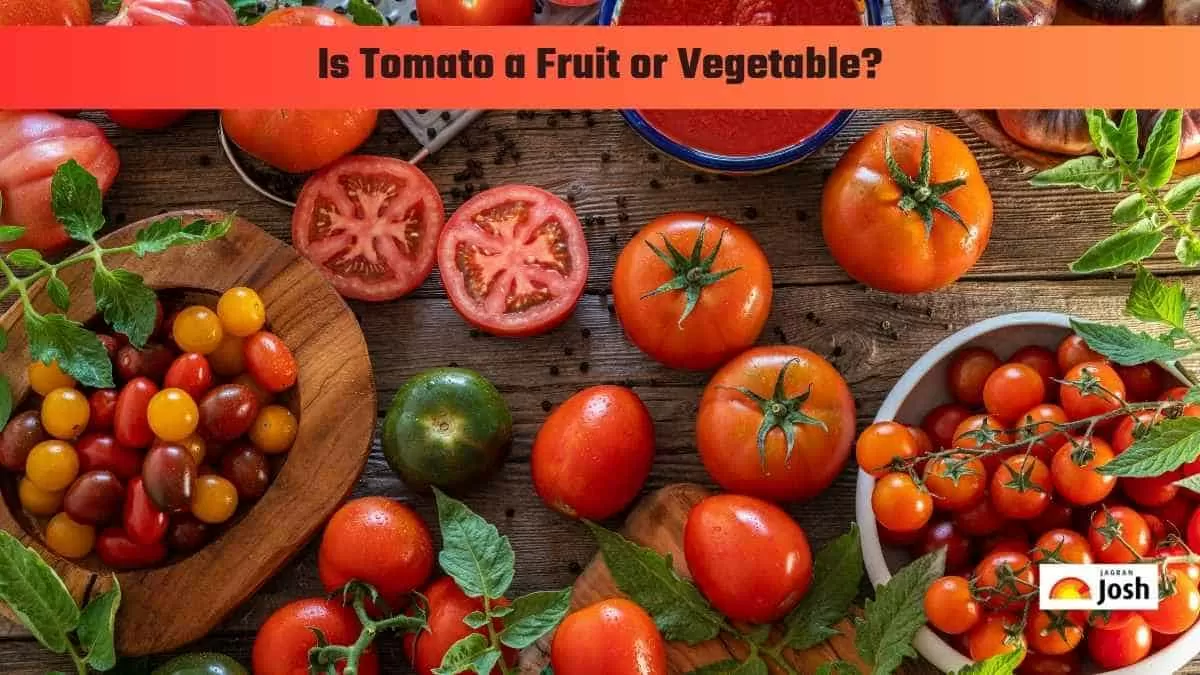 Is Tomato a Fruit or Vegetable