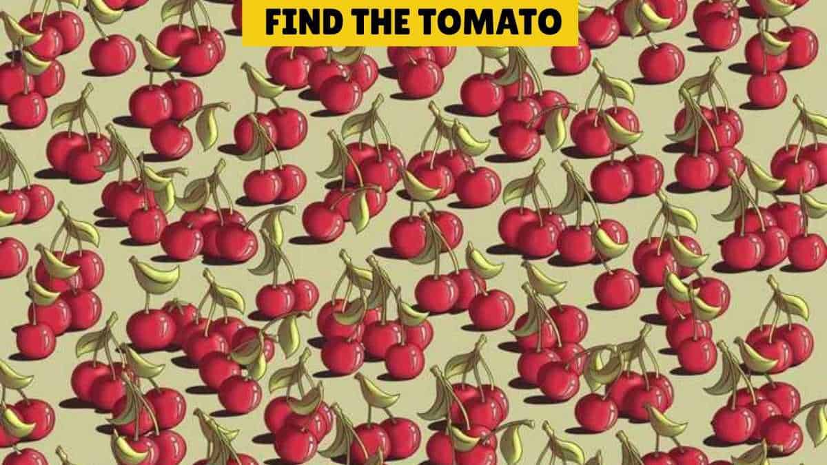 Your IQ is higher than 98% of people if you can find the tomato among cherries in 9 seconds!