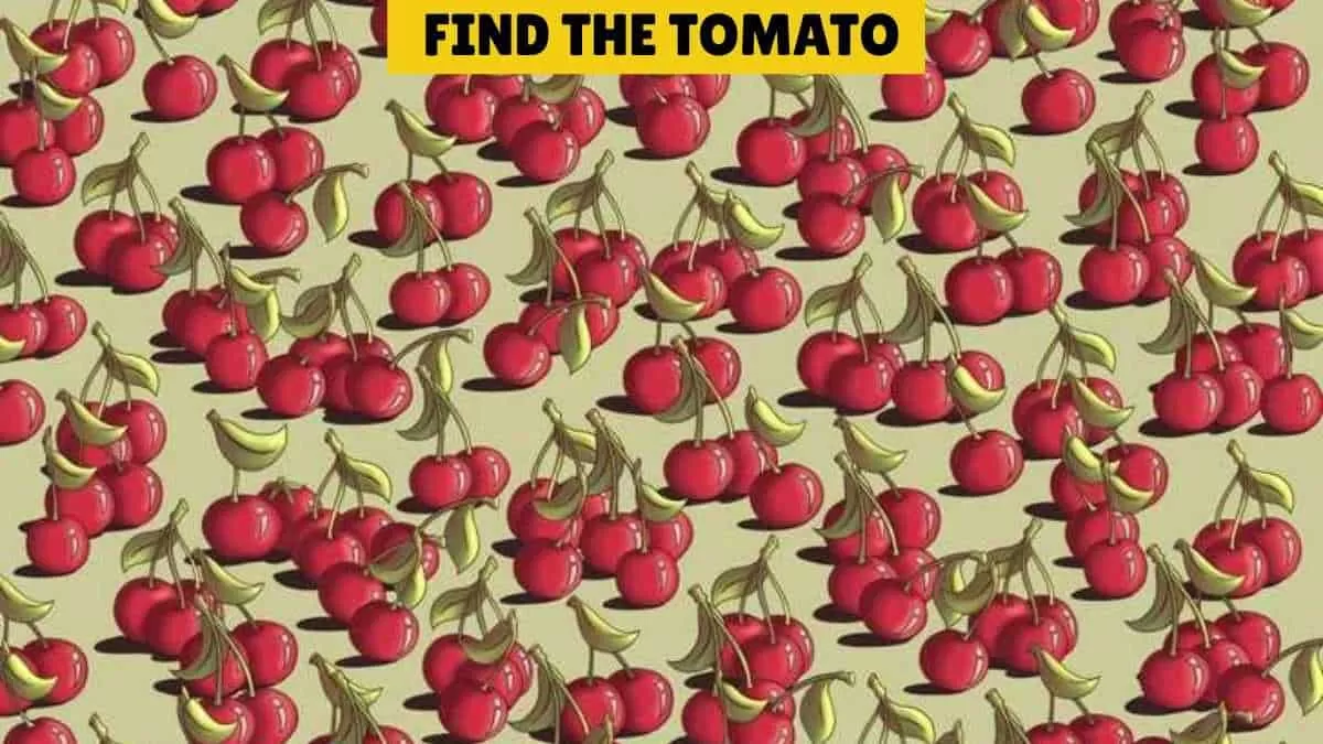 Find the hidden tomato