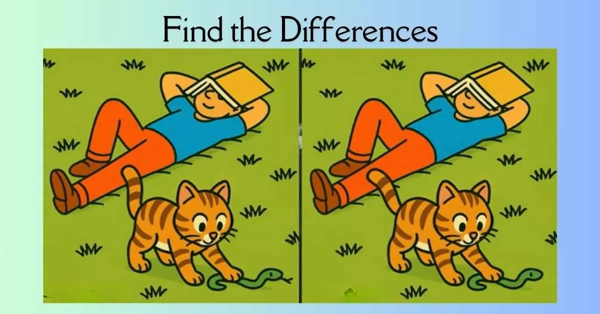 Spot the 3 Differences in Guy Taking Nap in Garden