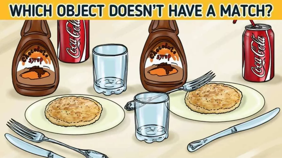 Spot the object without a match.