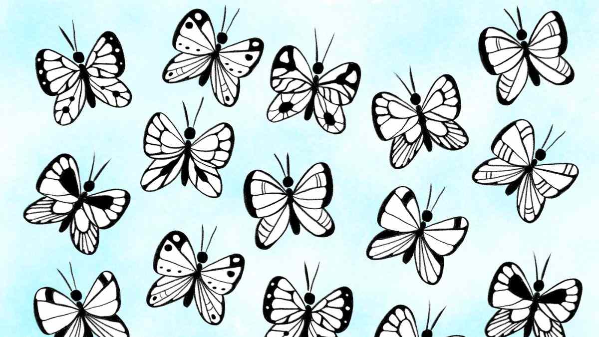 Picture Puzzle IQ Test: Even The Visual Geniuses Could Not Spot The Odd Butterfly In 5 Seconds! Can You?