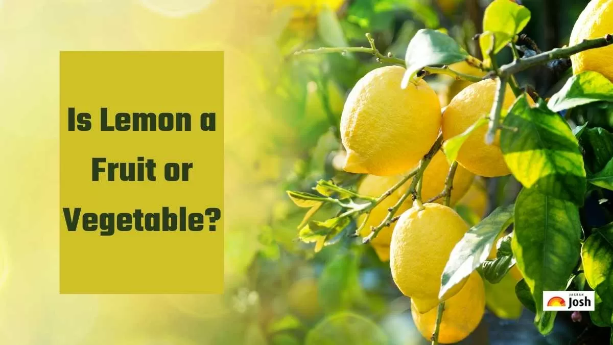 Is Lemon a Fruit or Vegetable
