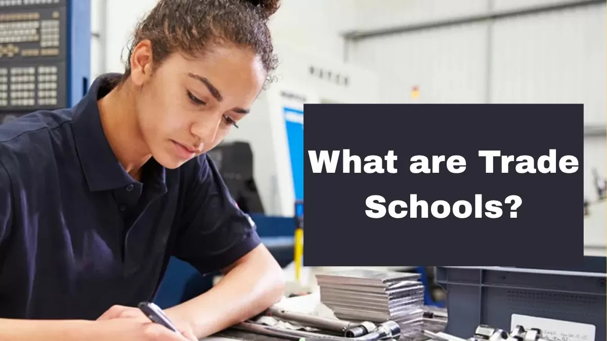 What are trade schools?