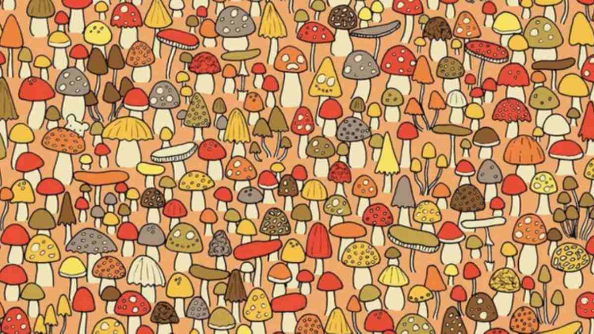 Picture Puzzles IQ Test: There Is A Mouse Hidden Among Mushrooms! Only 5 Seconds To Spot It!