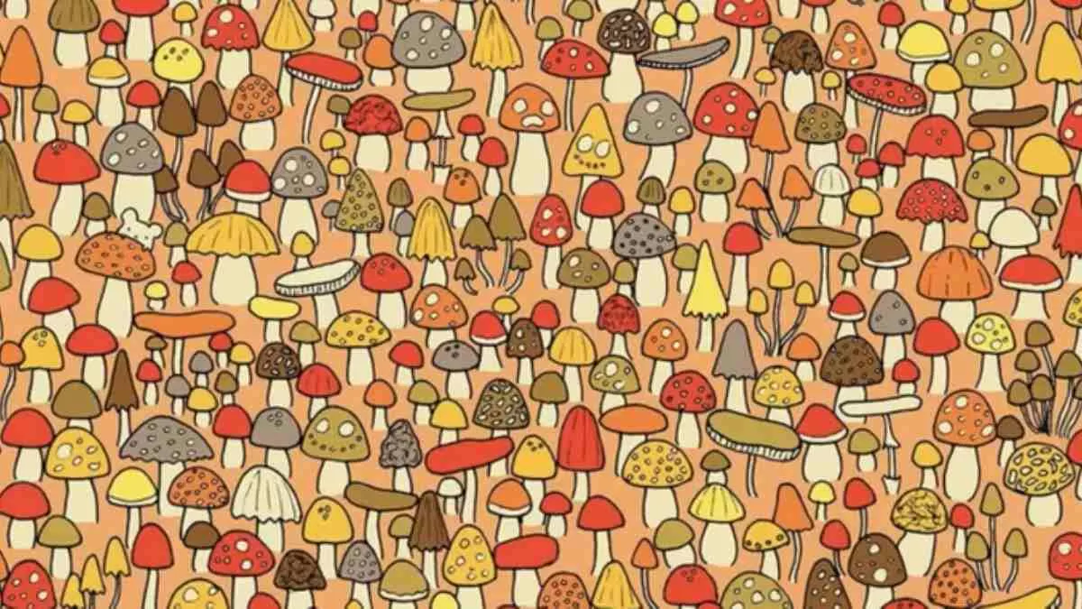 Spot the mouse.