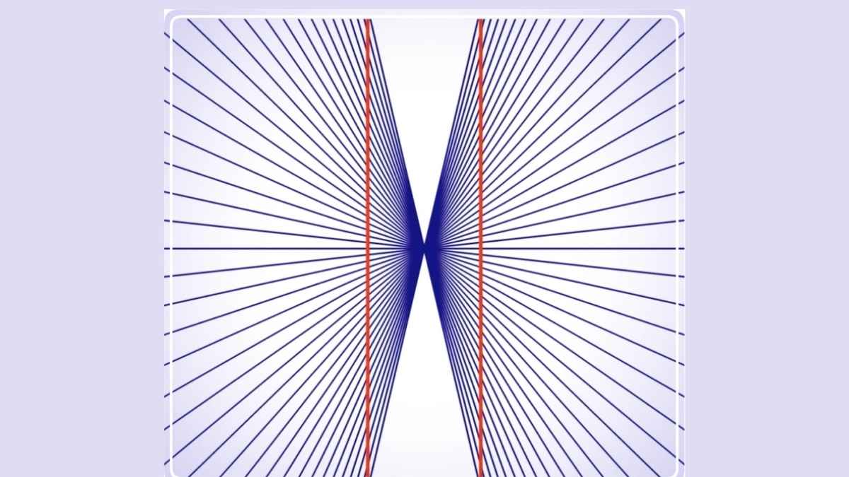 Optical Illusion Test: If You Think You Have a Sharp IQ, Then Think About Red Lines, Is It Straight or Curved?