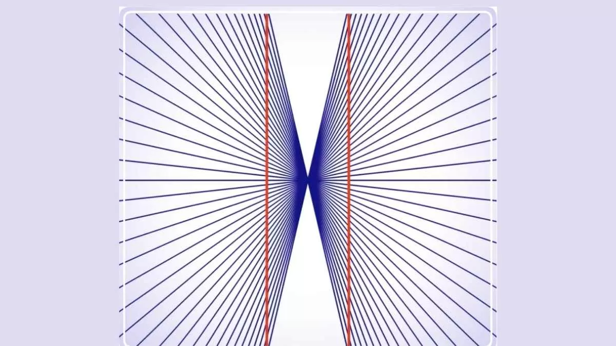 Optical Illusion Test: If You Think You Have a Sharp IQ, Then Think About Red Lines, Is It Straight or Curved?