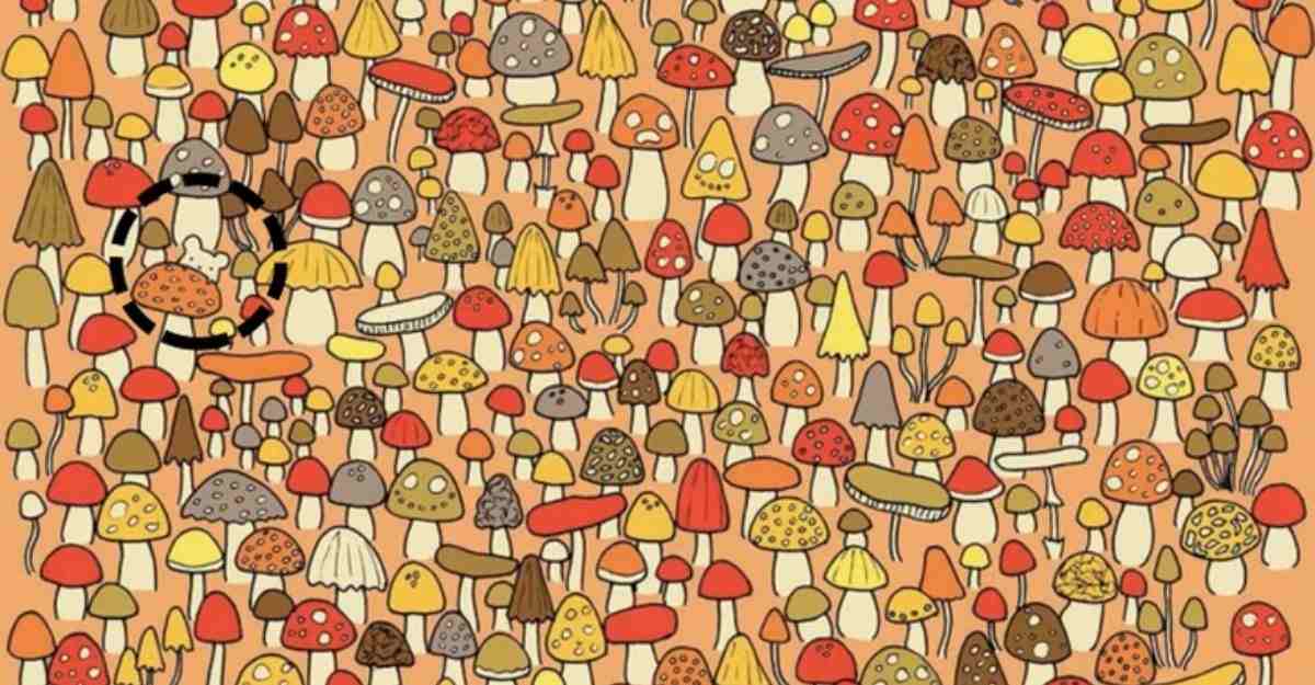 hidden picture puzzles with answers