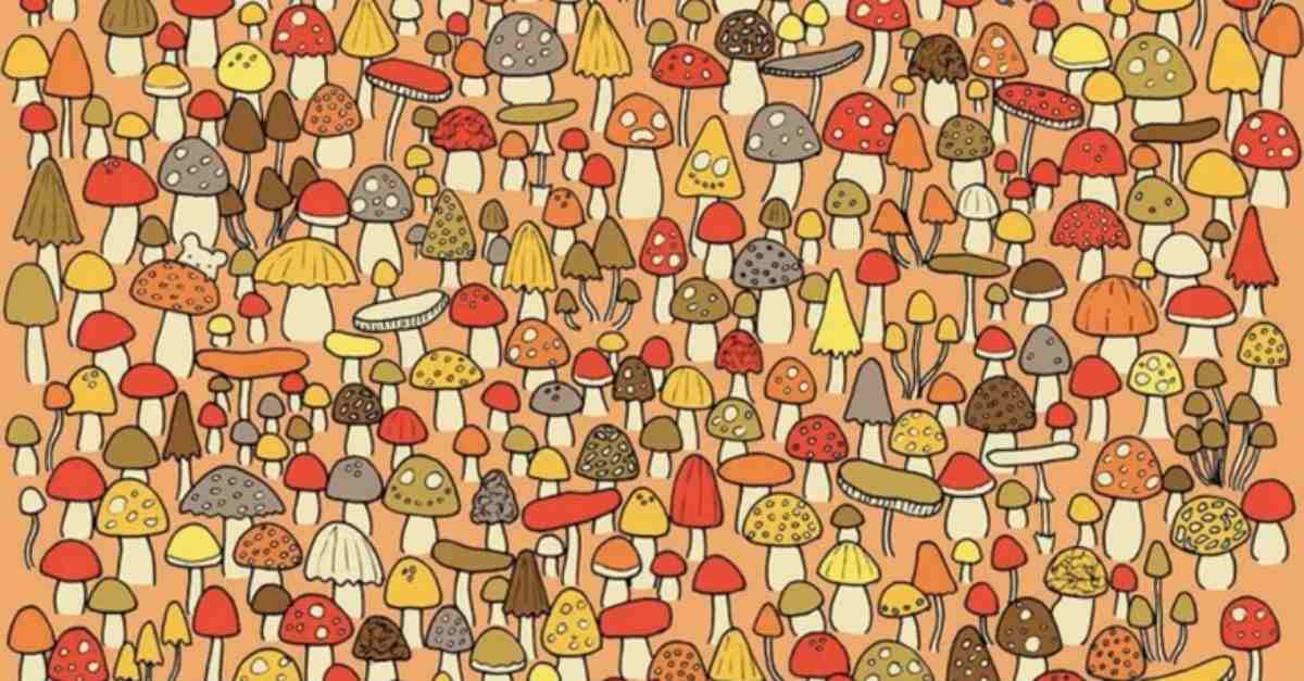 hidden picture puzzles with answers