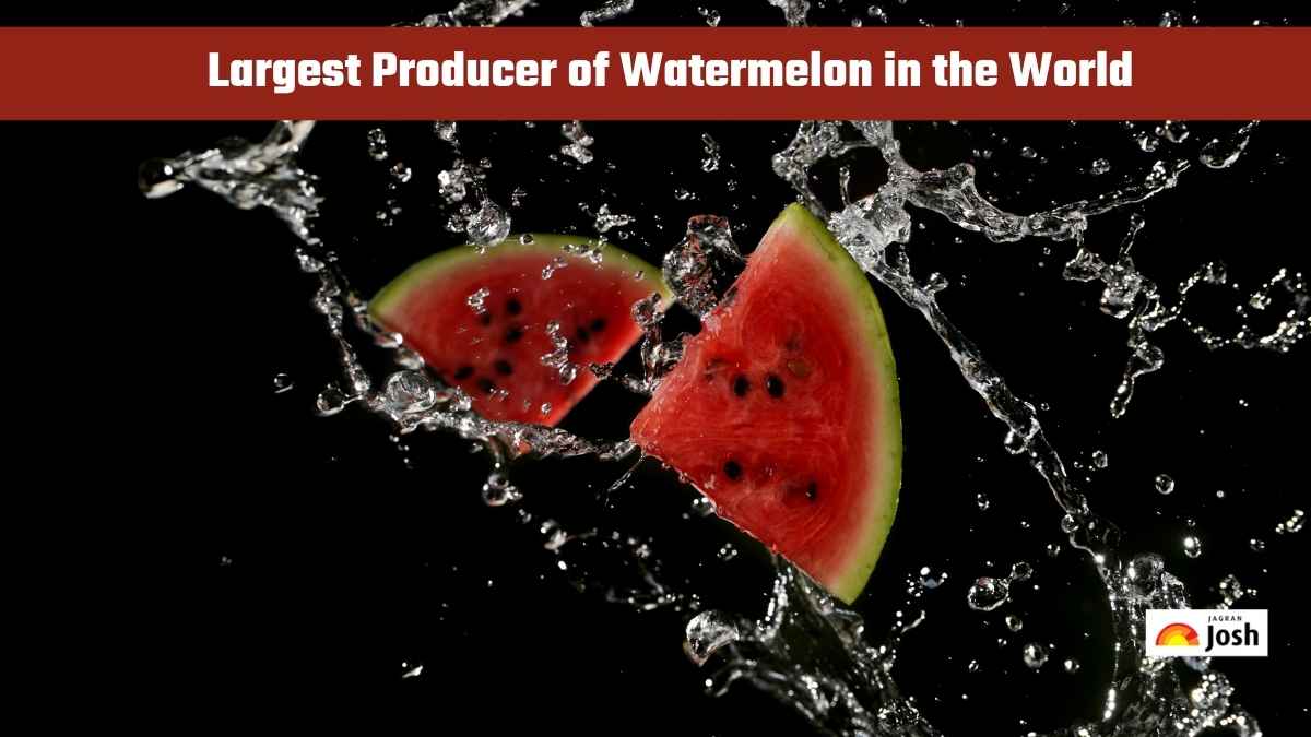 Which Country is the Largest Producer of Watermelon in the World?