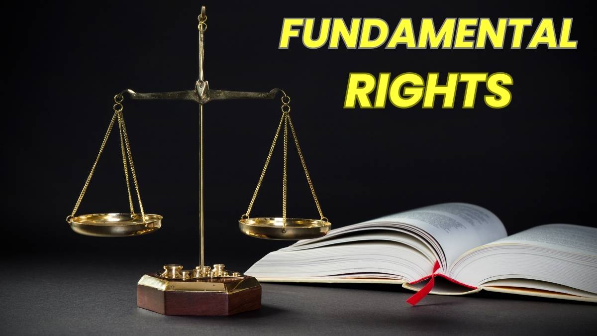 What are the Fundamental Rights in the Indian Constitution?