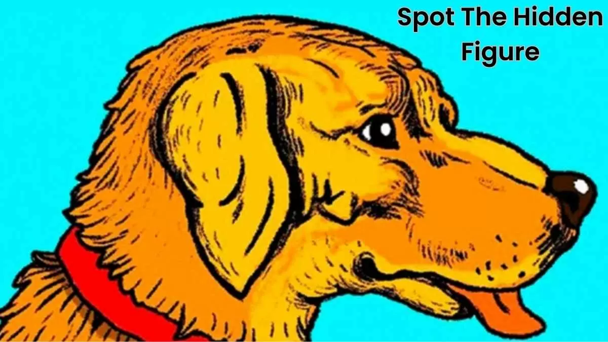 Optical Illusion: Only 1% Can Spot The Hidden Figure In The Dog In Just 7 Seconds!