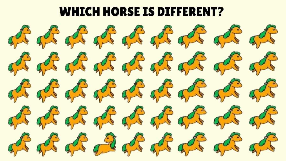Visual Illusion: Only eagle eyes can find the unique horse in 7 seconds!