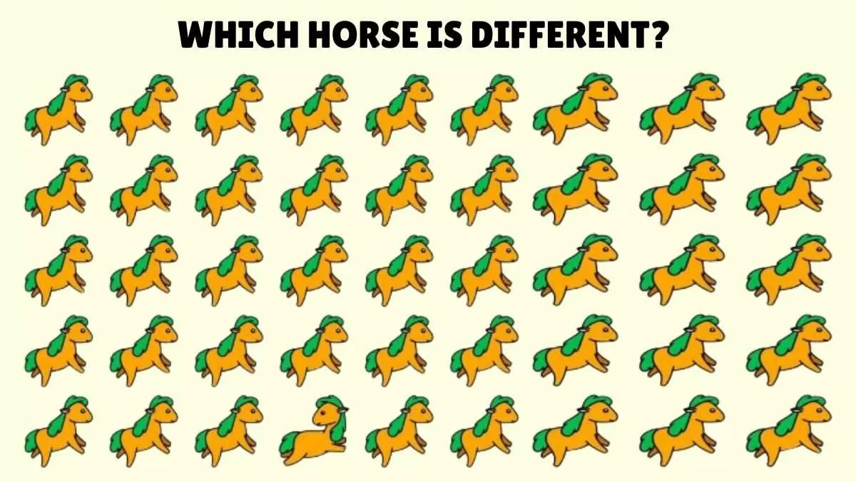 Find the unique horse