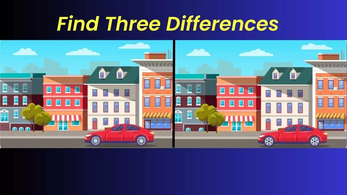 Spot The Three Differences