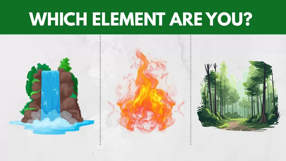 Which Element Are you?