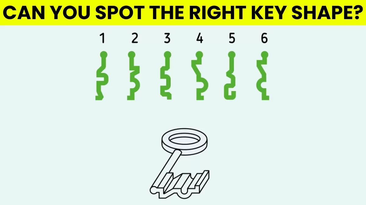 Spot the right key shape.