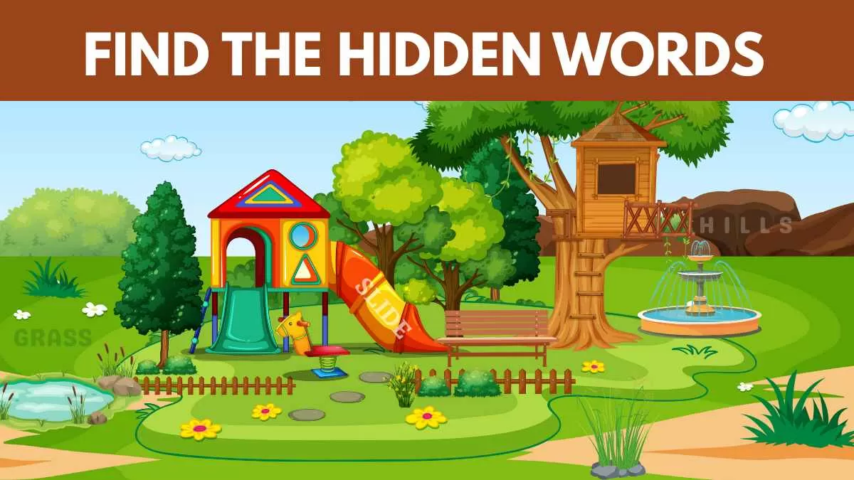 Find the Hidden Words