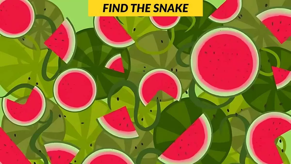 Find the snake