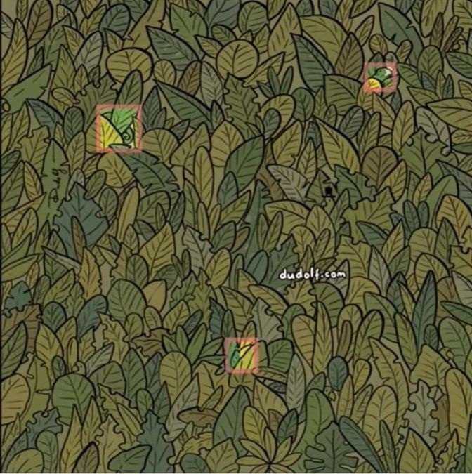 hidden picture puzzles with answers